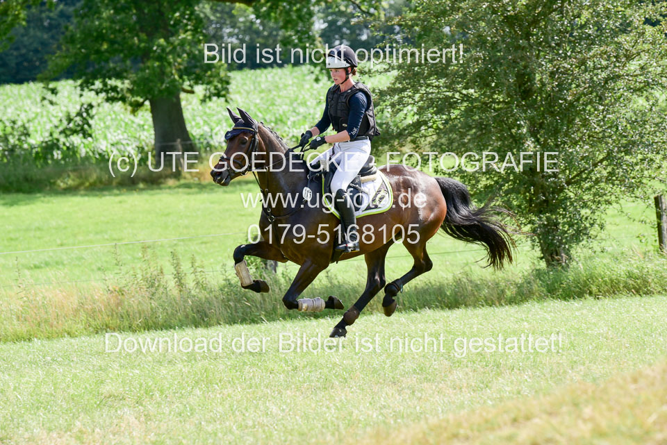 10072019--Geländepferde-L_006.jpg