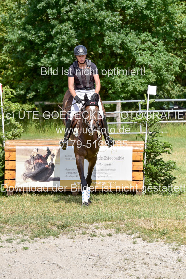 10072019--Geländepferde-L_059.jpg