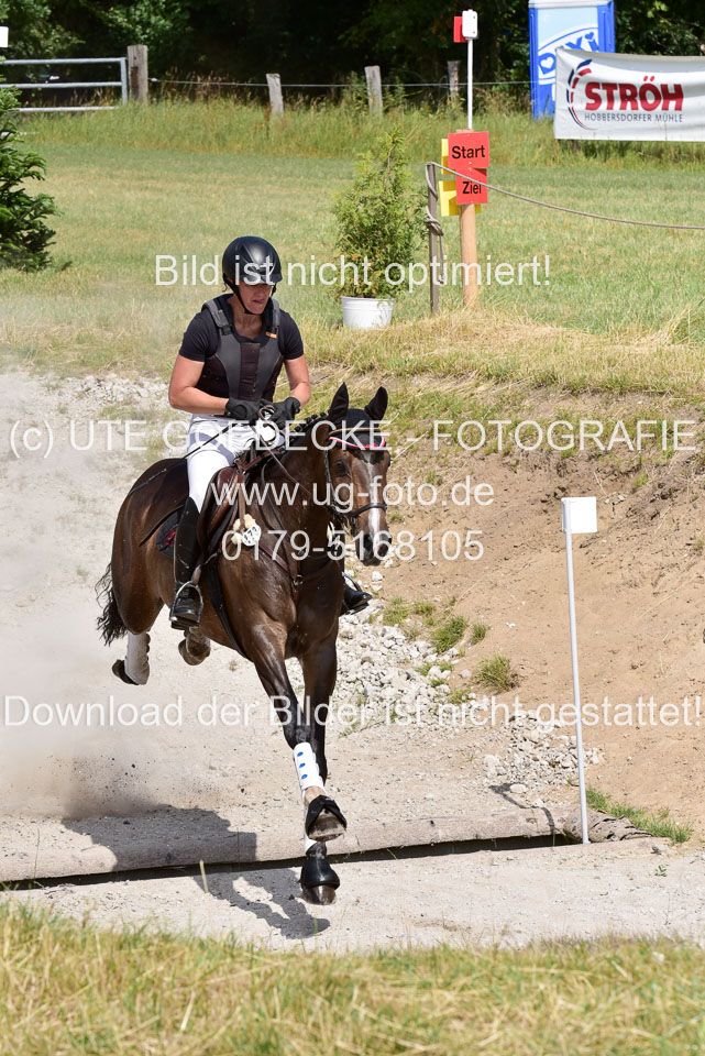 10072019--Geländepferde-L_061.jpg