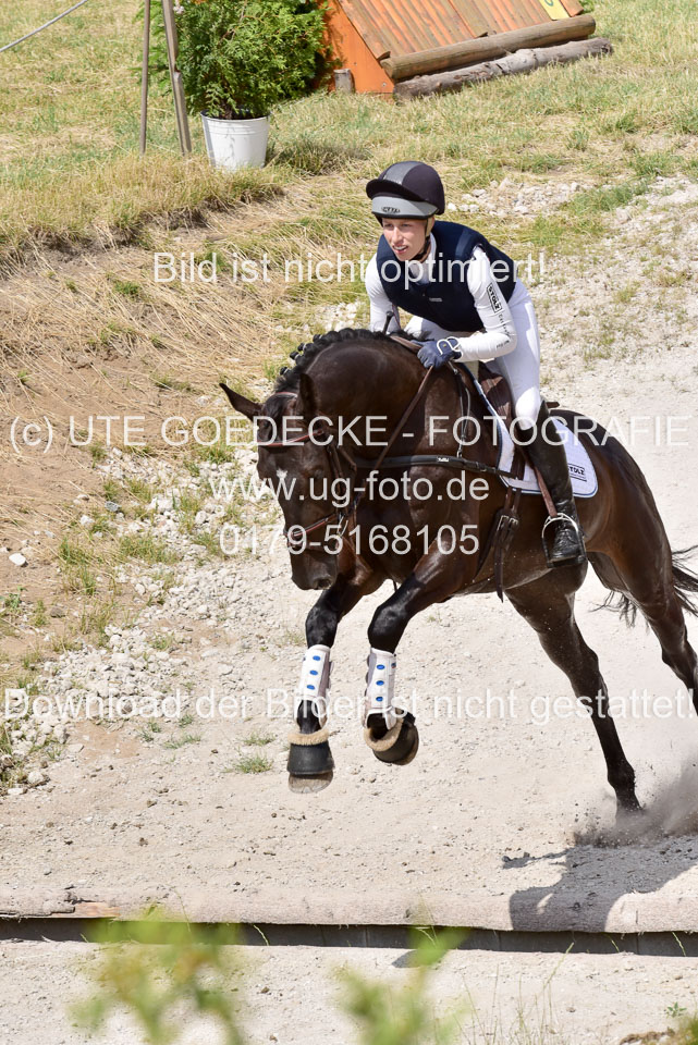 10072019--Geländepferde-L_083.jpg