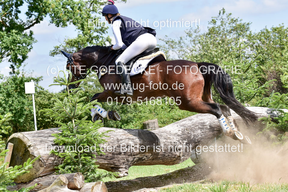 10072019--Geländepferde-L_116.jpg
