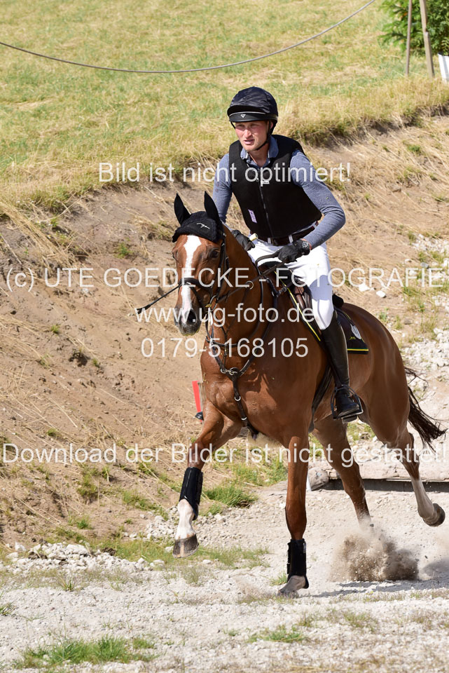10072019--Geländepferde-L_119.jpg