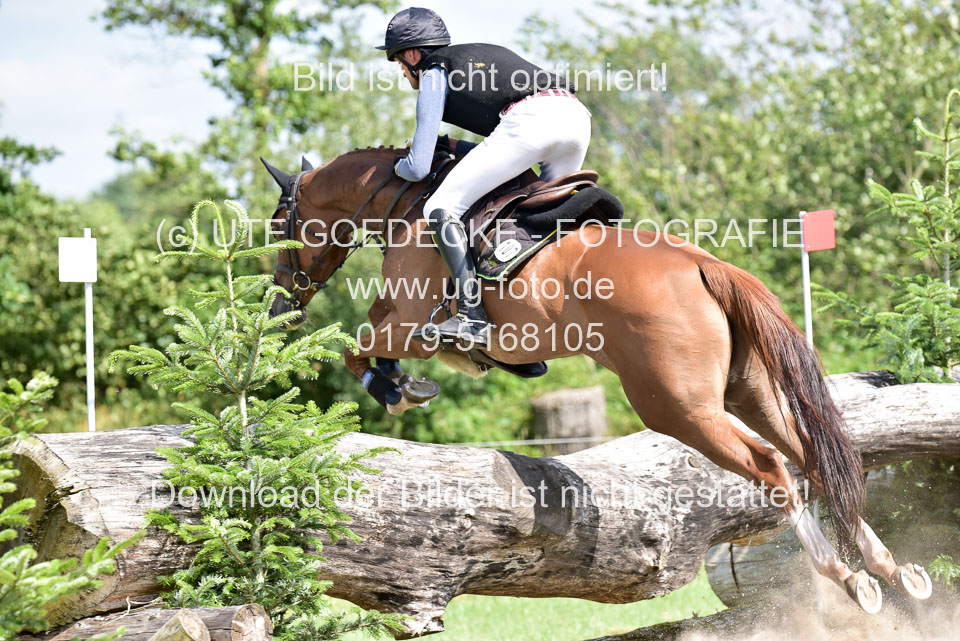 10072019--Geländepferde-L_122.jpg