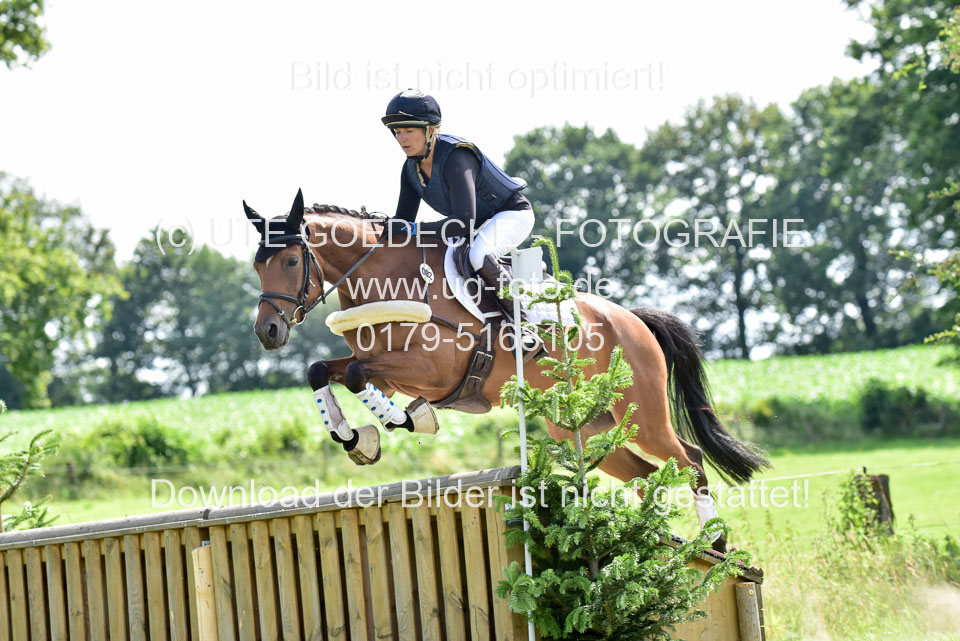 10072019--Geländepferde-L_131.jpg