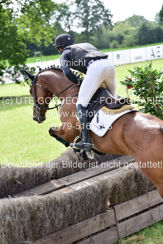 10072019--Geländepferde-L_144.jpg