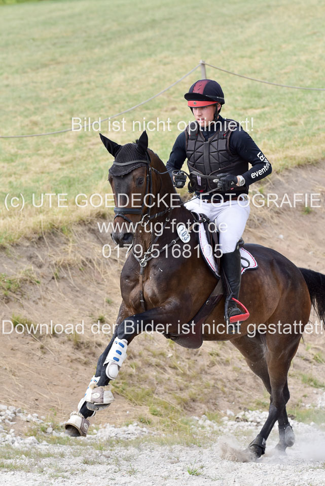 10072019--Geländepferde-L_154.jpg