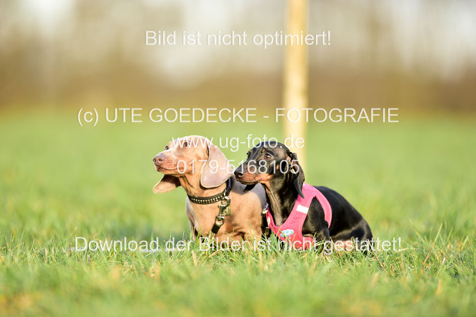 Impressionen-Elmenhorst-Eventing_55.jpg