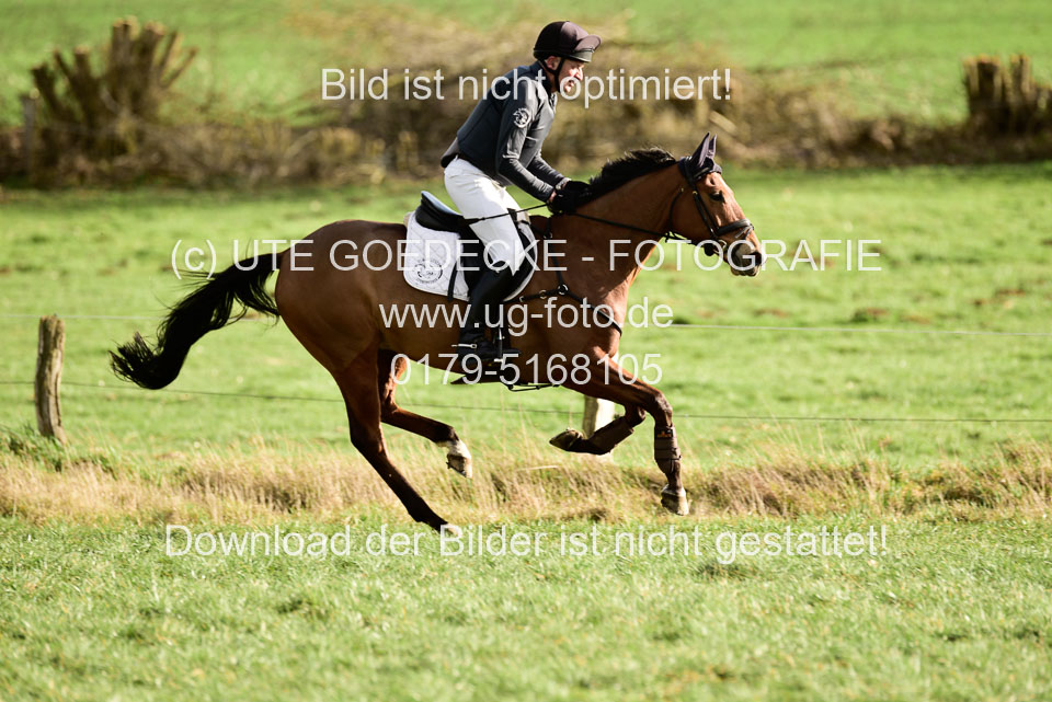 Lesch,-Elmar---Top-Job_06.jpg