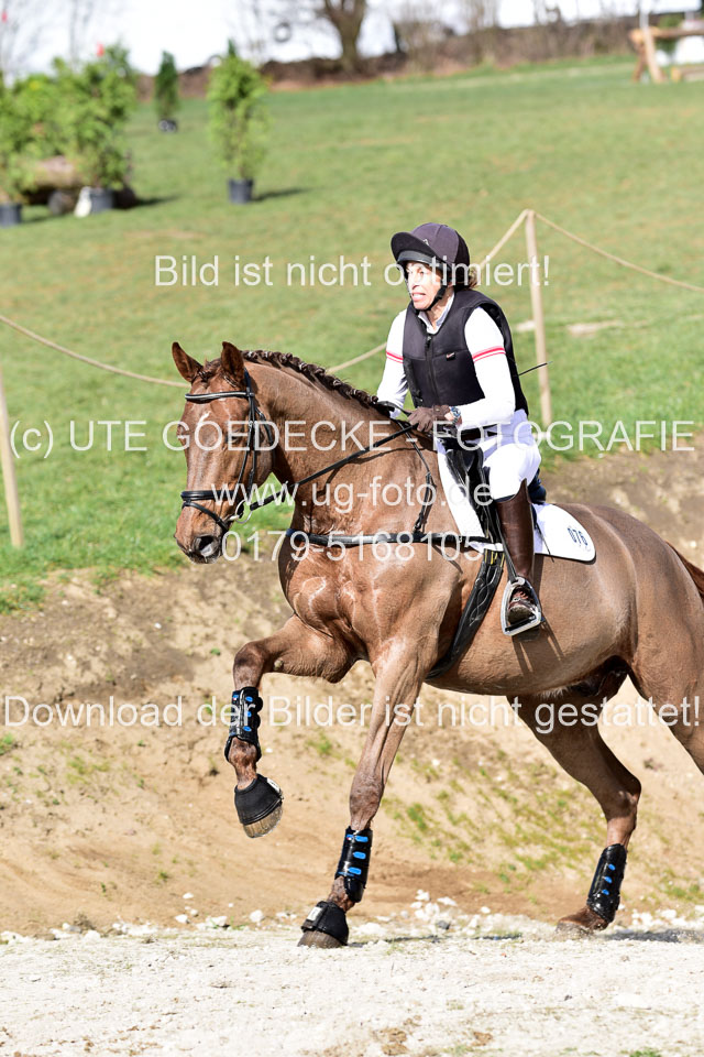 Choko---Schiller,-Jeannette_6.jpg