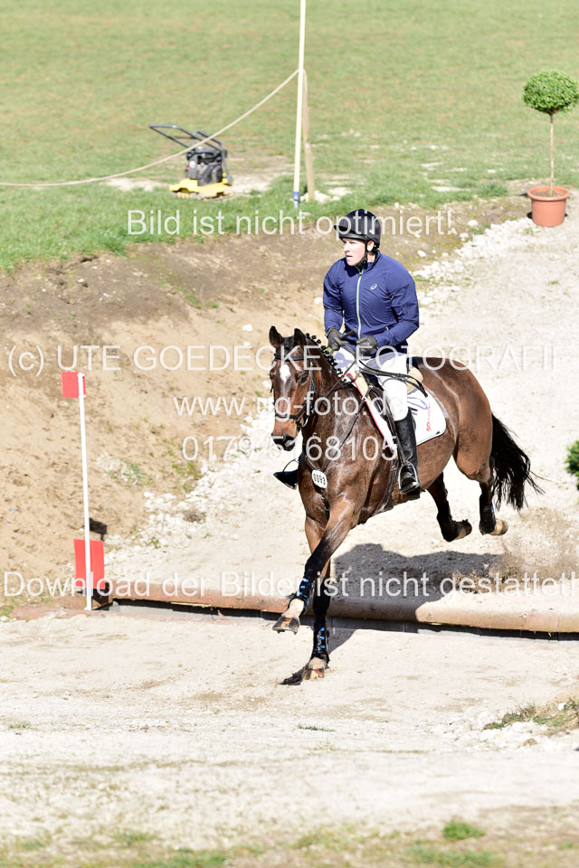 Comtessa---Toth-Imre_7.jpg