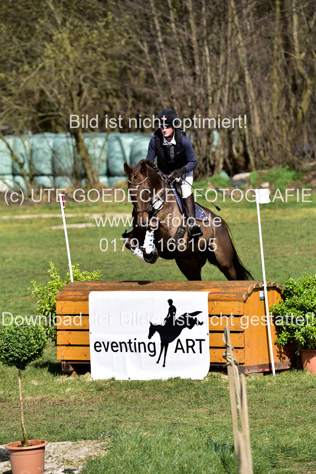 Curley-Boy---Gerken,-Rebecca_1.jpg