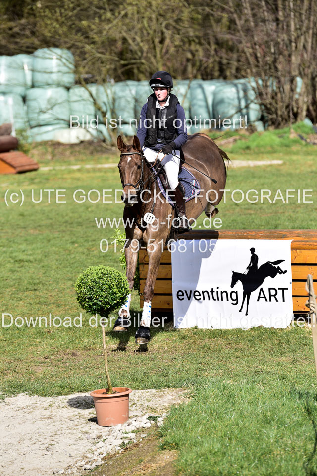 Curley-Boy---Gerken,-Rebecca_3.jpg