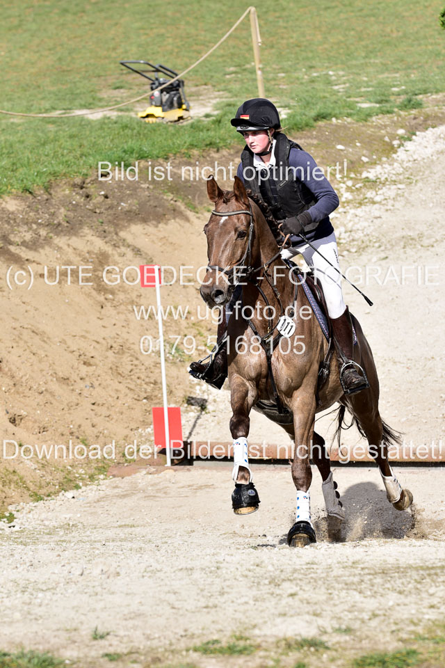 Curley-Boy---Gerken,-Rebecca_4.jpg