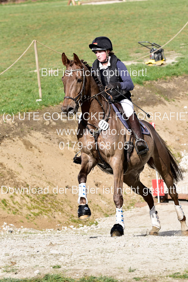 Curley-Boy---Gerken,-Rebecca_5.jpg