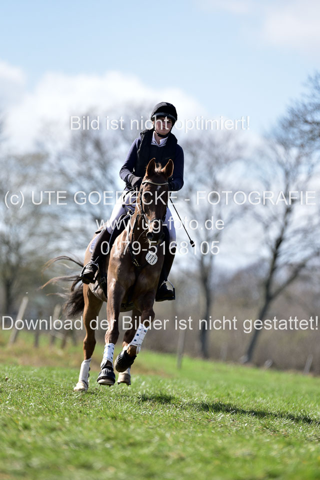 Curley-Boy---Gerken,-Rebecca_6.jpg