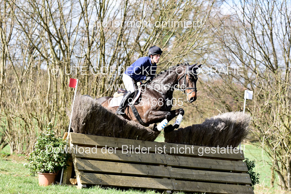 Lennard---Toth,-Imre_09.jpg