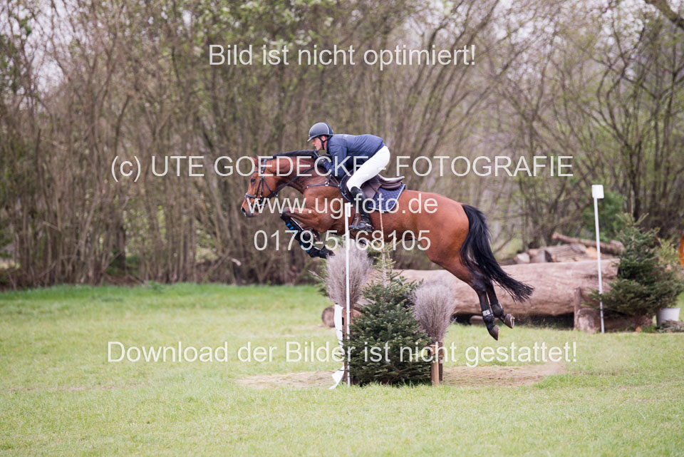 24042019--Springpferde-A-_002.jpg