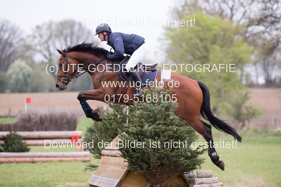 24042019--Springpferde-A-_003.jpg