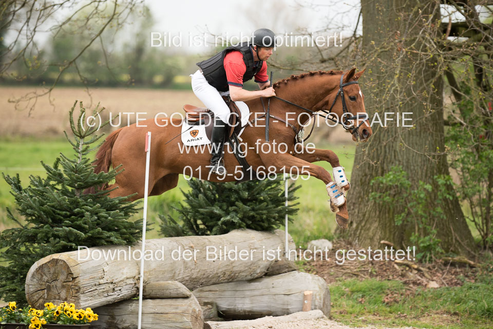 24042019--Springpferde-A-_017.jpg