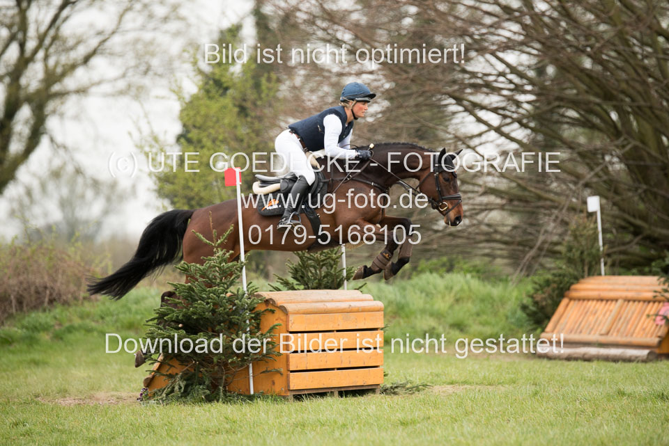 24042019--Springpferde-A-_021.jpg