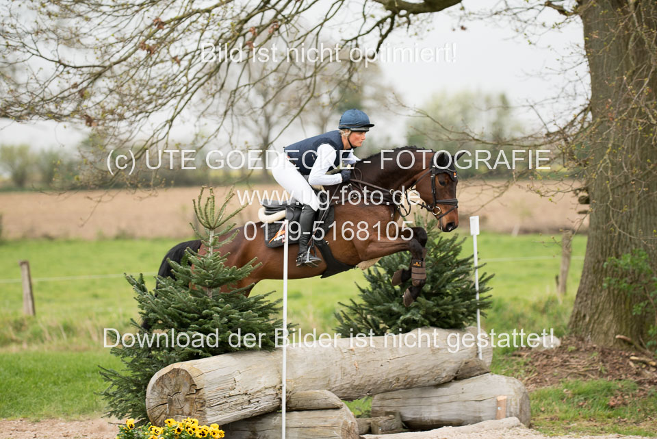 24042019--Springpferde-A-_025.jpg