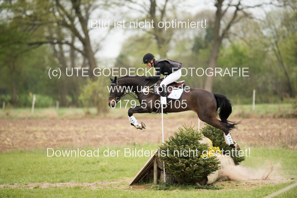 24042019--Springpferde-A-_027.jpg