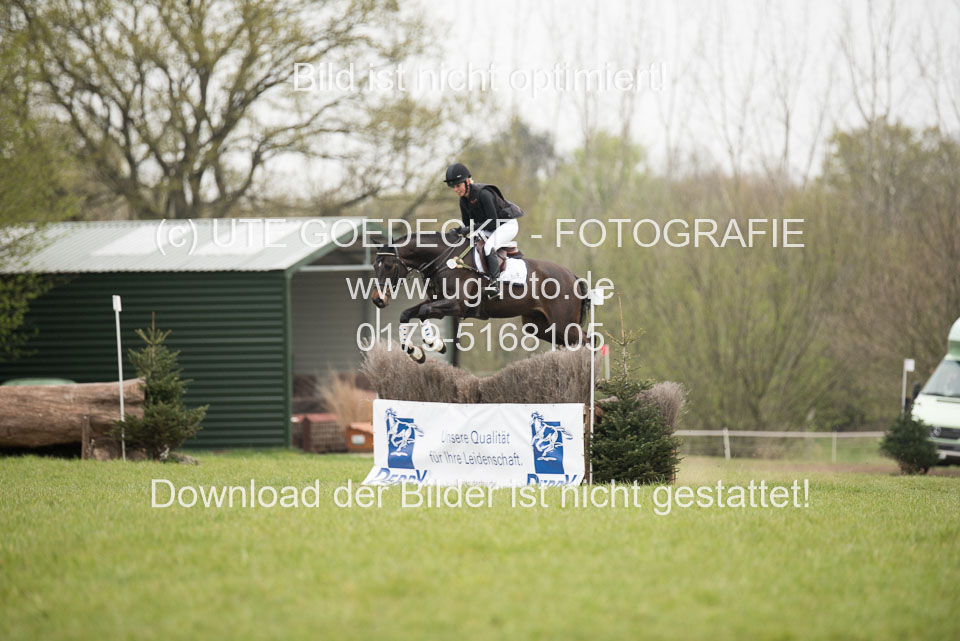 24042019--Springpferde-A-_033.jpg
