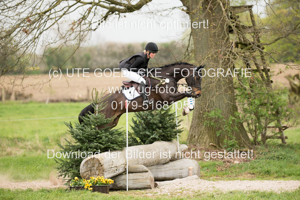 24042019--Springpferde-A-_037.jpg