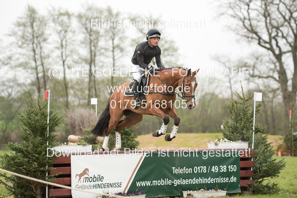 24042019--Springpferde-A-_039.jpg