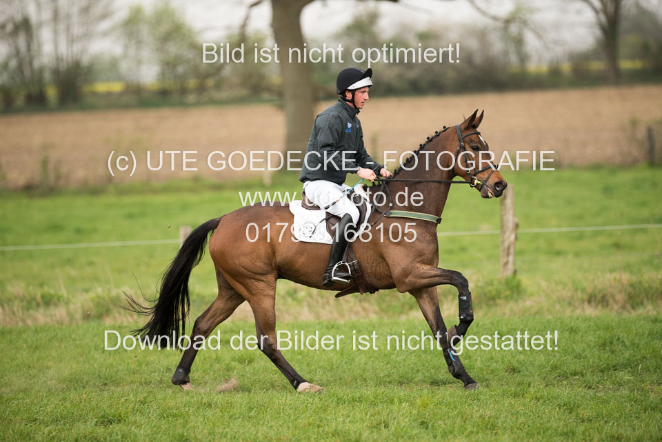 24042019--Springpferde-A-_051.jpg