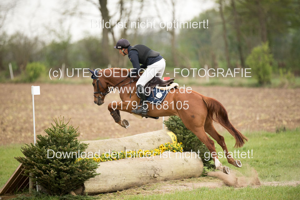 24042019--Springpferde-A-_055.jpg