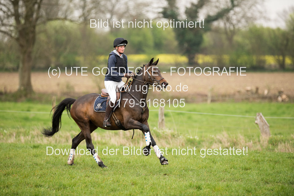24042019--Springpferde-A-_069.jpg