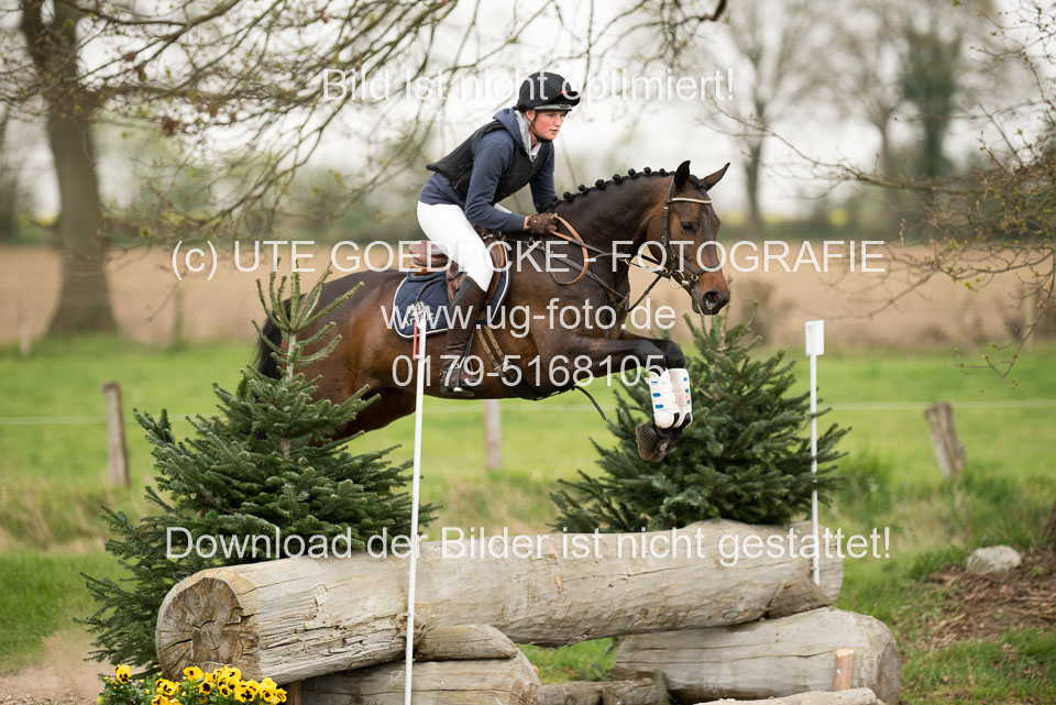 24042019--Springpferde-A-_071.jpg