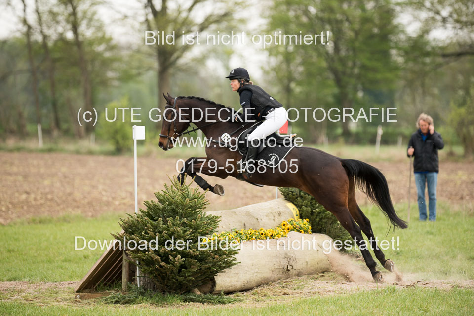 24042019--Springpferde-A-_073.jpg
