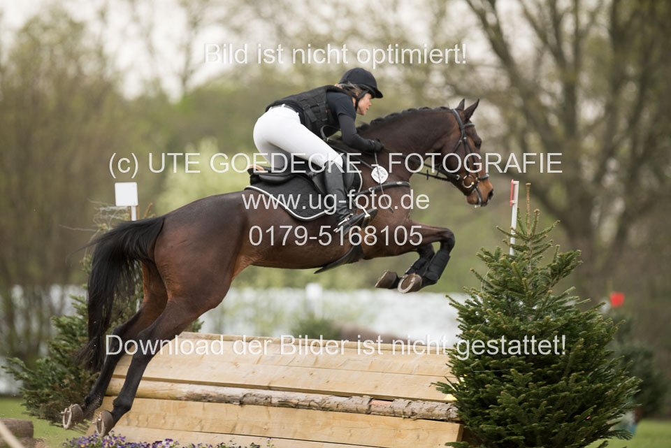 24042019--Springpferde-A-_075.jpg