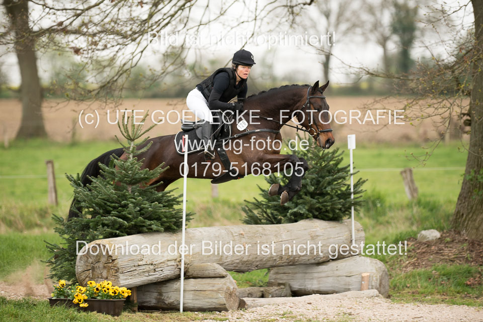 24042019--Springpferde-A-_081.jpg