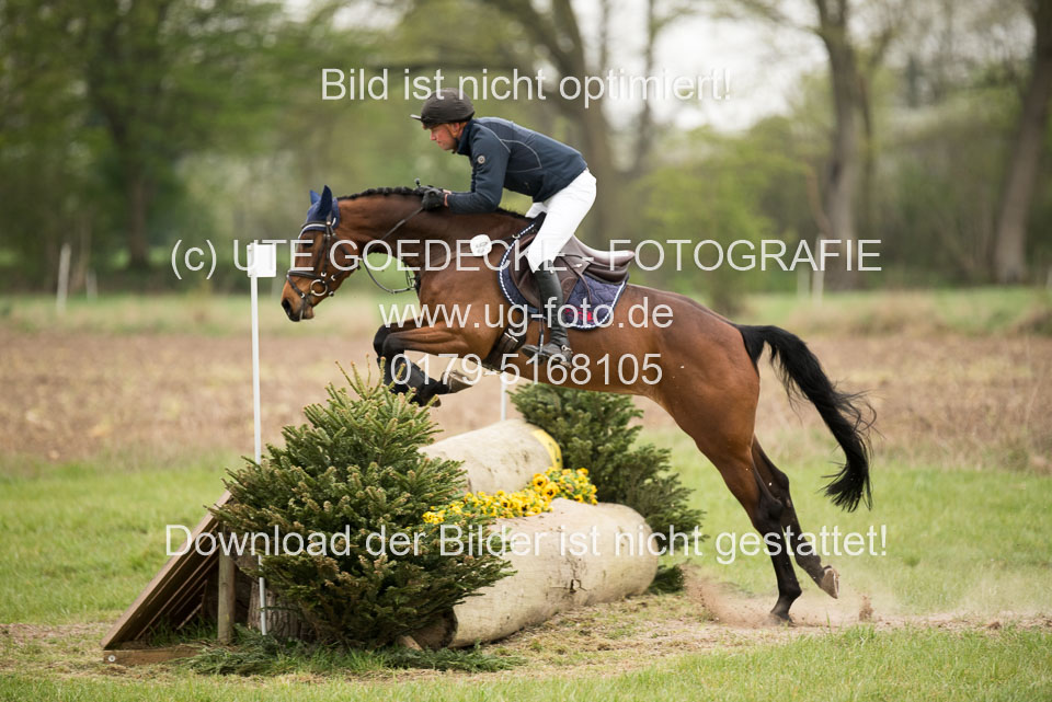 24042019--Springpferde-A-_083.jpg