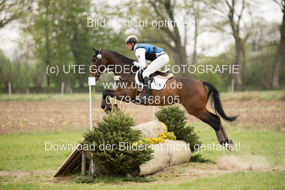 24042019--Springpferde-A-_089.jpg
