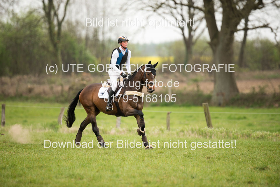 24042019--Springpferde-A-_093.jpg