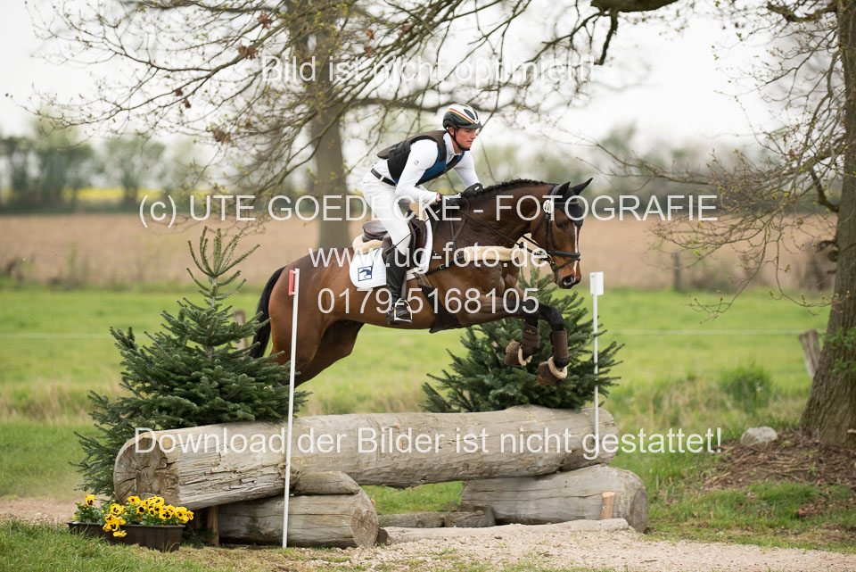 24042019--Springpferde-A-_095.jpg