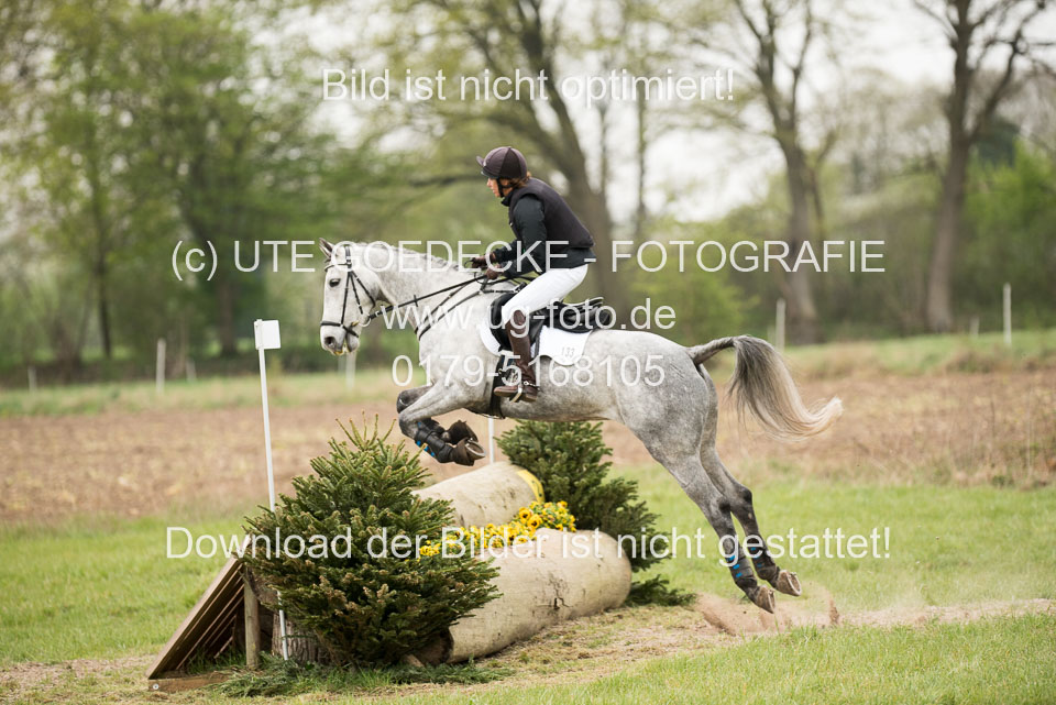 24042019--Springpferde-A-_099.jpg