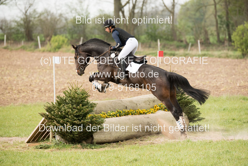 24042019--Springpferde-A-_107.jpg