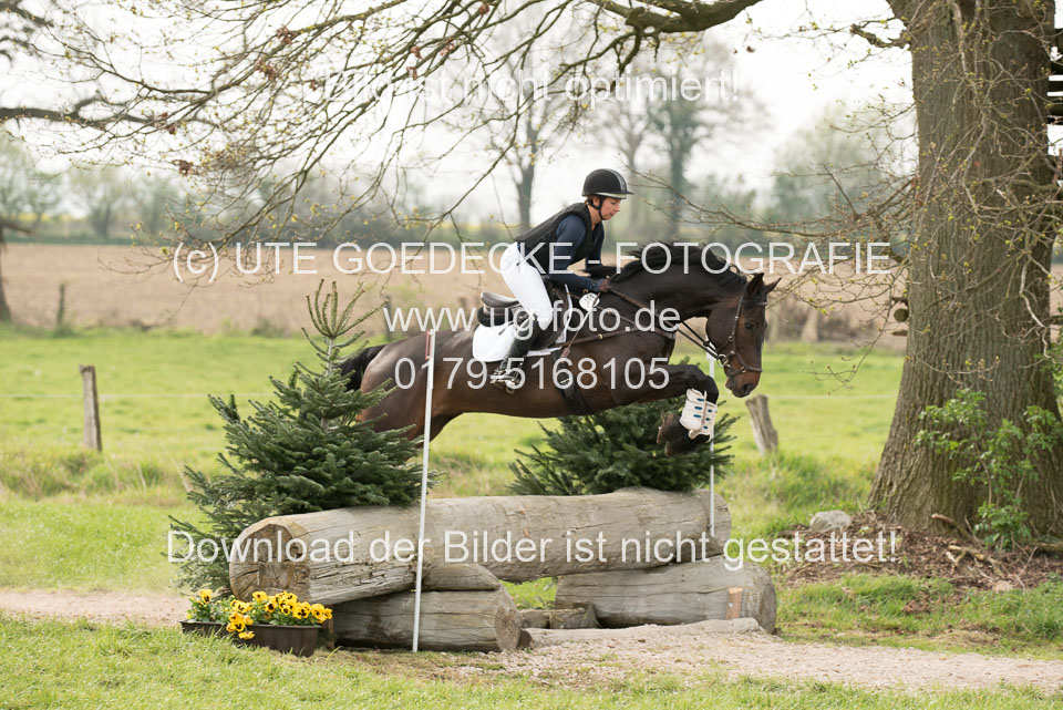 24042019--Springpferde-A-_113.jpg