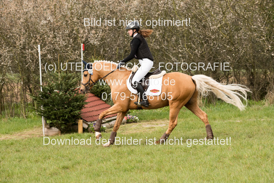 24042019--Springpferde-A-_117.jpg