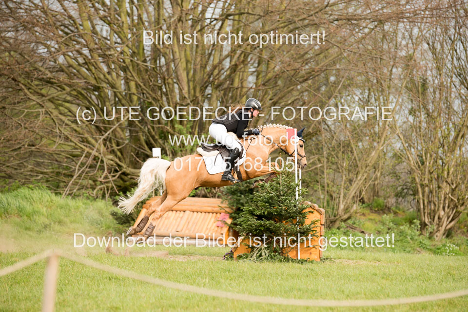 24042019--Springpferde-A-_123.jpg
