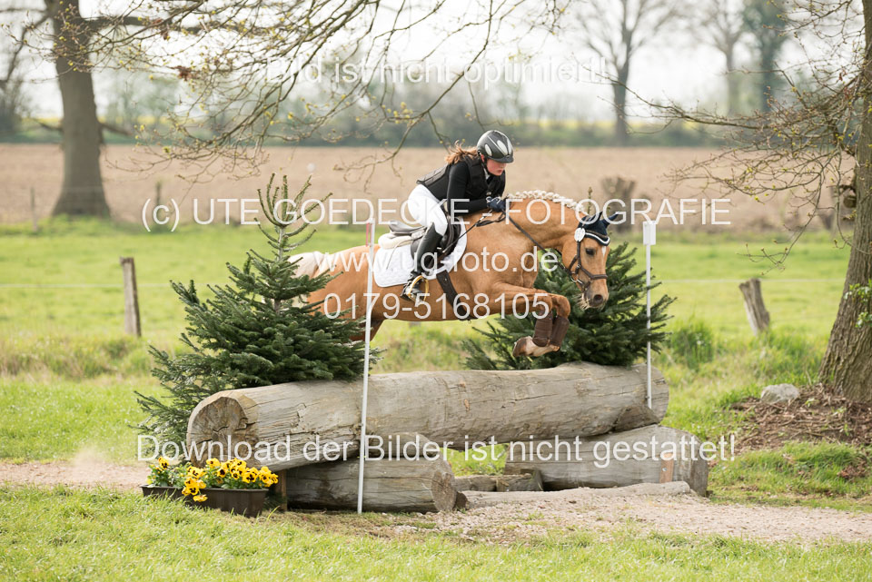 24042019--Springpferde-A-_127.jpg