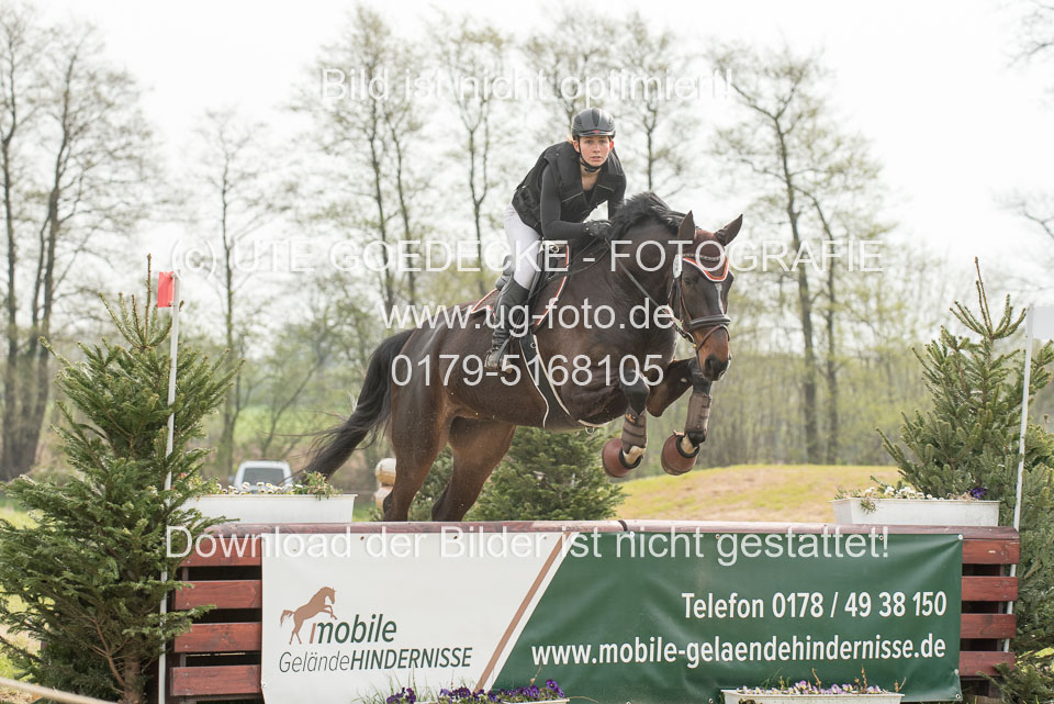 24042019--Springpferde-A-_131.jpg