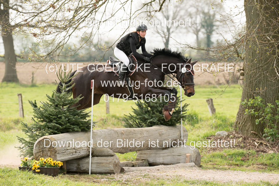24042019--Springpferde-A-_135.jpg