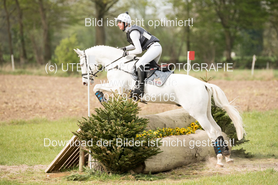 24042019--Springpferde-A-_139.jpg