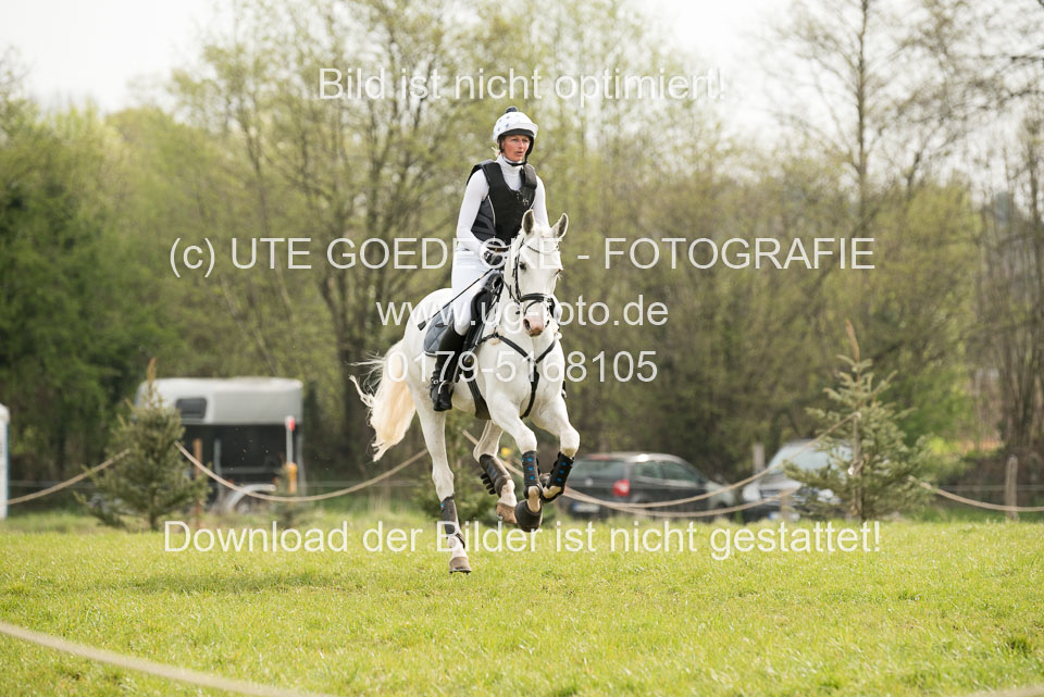 24042019--Springpferde-A-_141.jpg